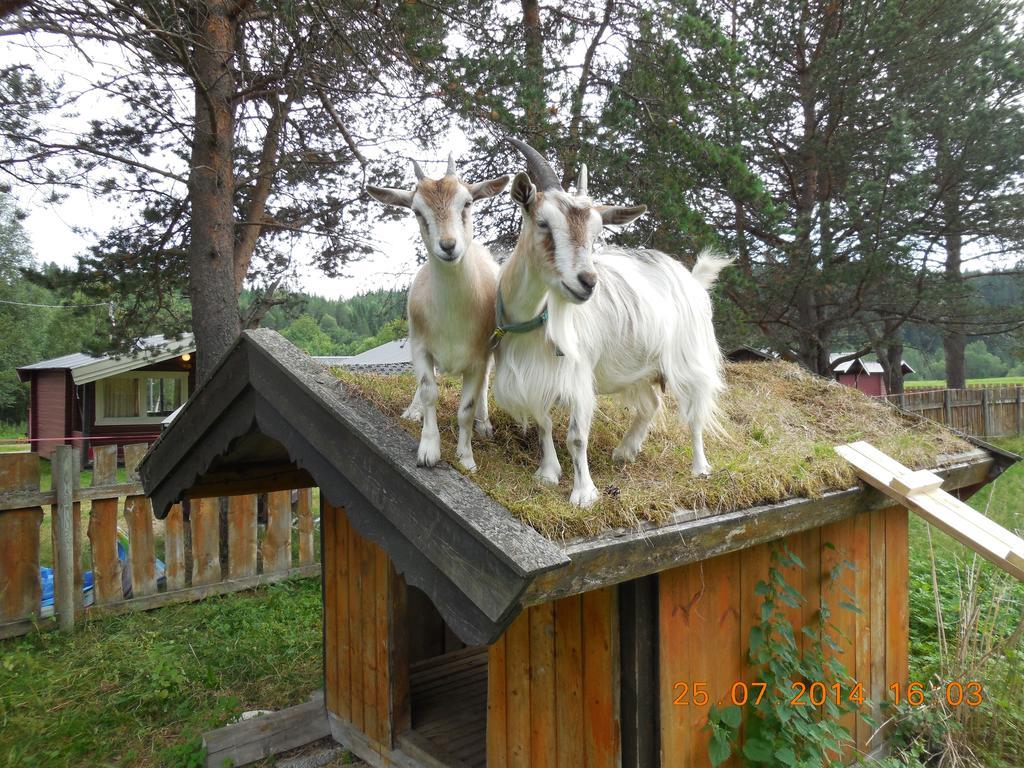 Halland Camping Berkåk Esterno foto